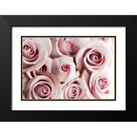 Rosa Dafydal Black Modern Wood Framed Art Print with Double Matting by Telik, Tracey