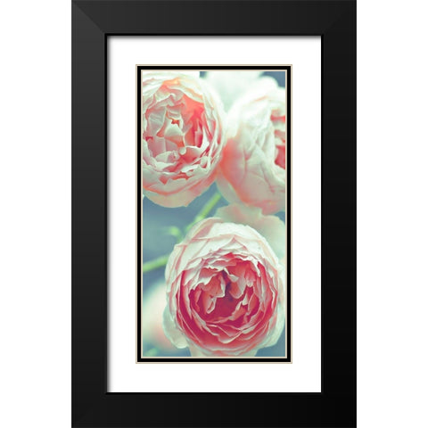 English Roses Black Modern Wood Framed Art Print with Double Matting by Telik, Tracey