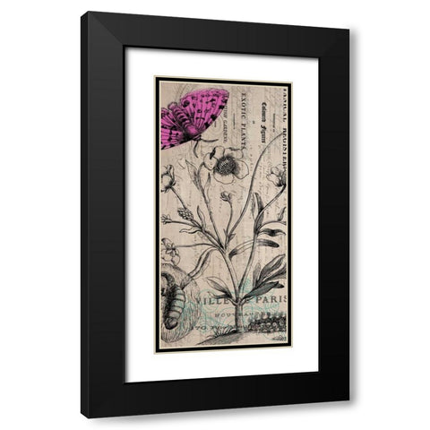 Botanical 9 Black Modern Wood Framed Art Print with Double Matting by Jordan, Elizabeth