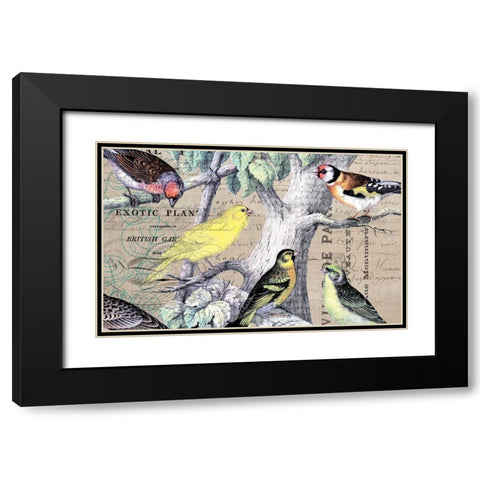 Bird Botanical 4 Black Modern Wood Framed Art Print with Double Matting by Jordan, Elizabeth