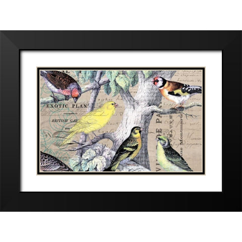 Bird Botanical 4 Black Modern Wood Framed Art Print with Double Matting by Jordan, Elizabeth
