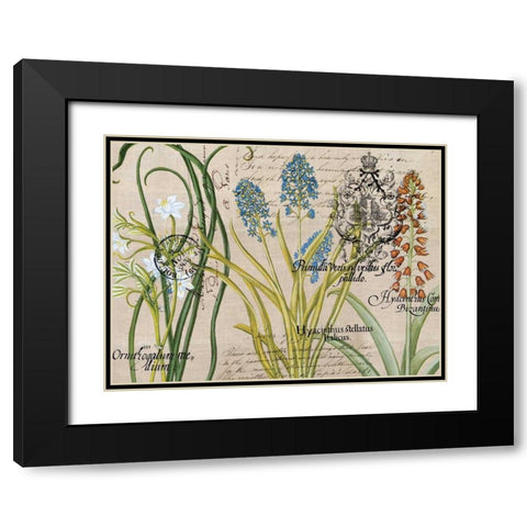 Flower Botanical Black Modern Wood Framed Art Print with Double Matting by Jordan, Elizabeth