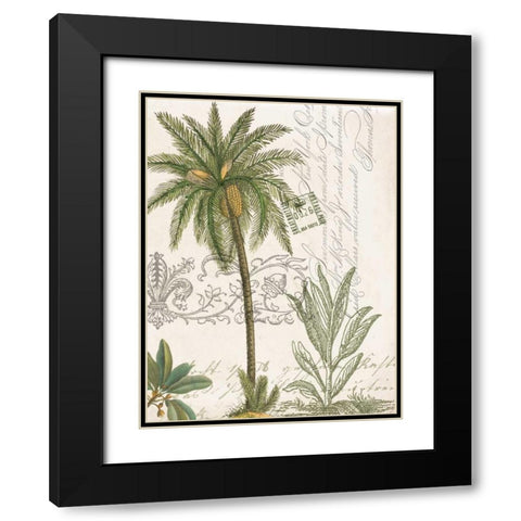 Palm Rectangle 1 Black Modern Wood Framed Art Print with Double Matting by Jordan, Elizabeth