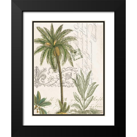 Palm Rectangle 1 Black Modern Wood Framed Art Print with Double Matting by Jordan, Elizabeth
