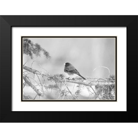 Waiting On The World To Change Black Modern Wood Framed Art Print with Double Matting by Jordan, Elizabeth
