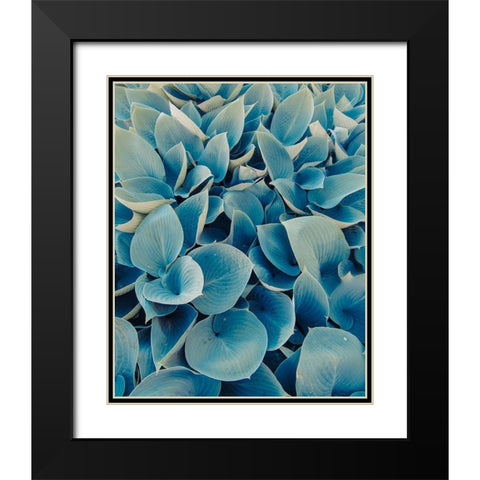 Green Plants Happy Day 1 Black Modern Wood Framed Art Print with Double Matting by Urban Epiphany