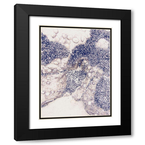 Shells 1 Black Modern Wood Framed Art Print with Double Matting by Urban Epiphany