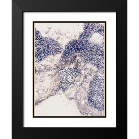 Shells 1 Black Modern Wood Framed Art Print with Double Matting by Urban Epiphany