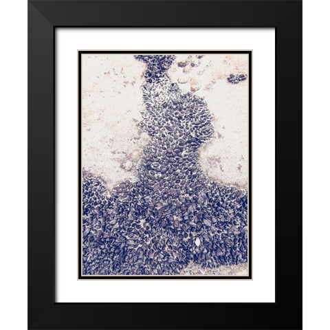 Shells 3 Black Modern Wood Framed Art Print with Double Matting by Urban Epiphany