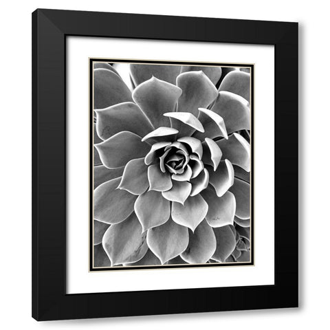 Black White Still Life Black Modern Wood Framed Art Print with Double Matting by Urban Epiphany