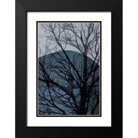 Blue Tree 2 Black Modern Wood Framed Art Print with Double Matting by Urban Epiphany