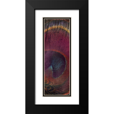 Fused Peacock 2 Black Modern Wood Framed Art Print with Double Matting by Brown, Victoria
