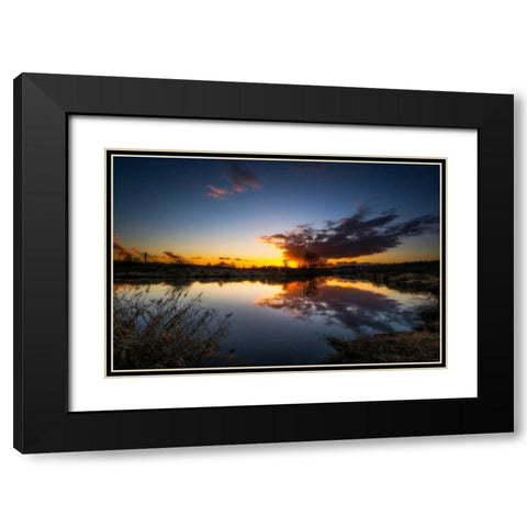 Butterfly View Black Modern Wood Framed Art Print with Double Matting by Kostka, Vladimir