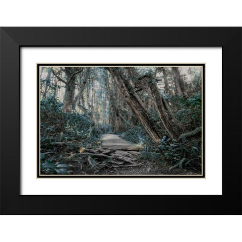 Path In The Forest 2 Black Modern Wood Framed Art Print with Double Matting by Kostka, Vladimir