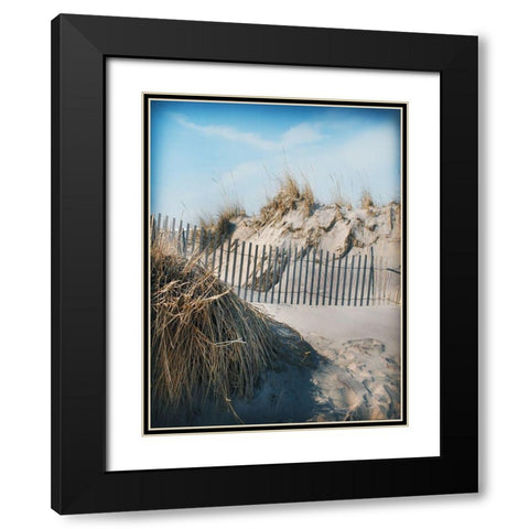Beach Grass and Fence A Black Modern Wood Framed Art Print with Double Matting by Foschino, Suzanne