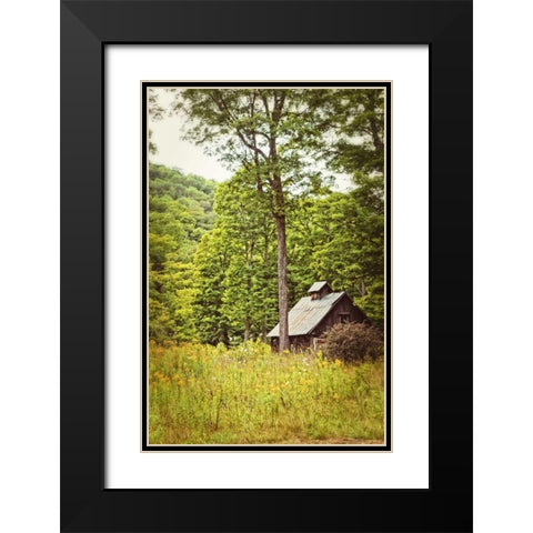 Country Barn 2 Vertical Vintage Black Modern Wood Framed Art Print with Double Matting by Foschino, Suzanne