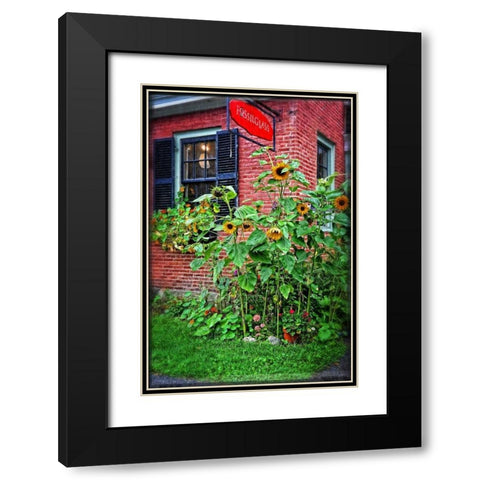 Country Store Sunflowers Black Modern Wood Framed Art Print with Double Matting by Foschino, Suzanne