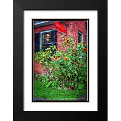 Country Store Sunflowers Black Modern Wood Framed Art Print with Double Matting by Foschino, Suzanne