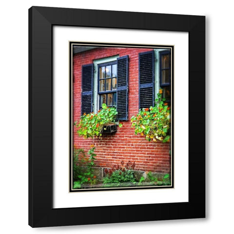 Country Store Window Flowers Black Modern Wood Framed Art Print with Double Matting by Foschino, Suzanne
