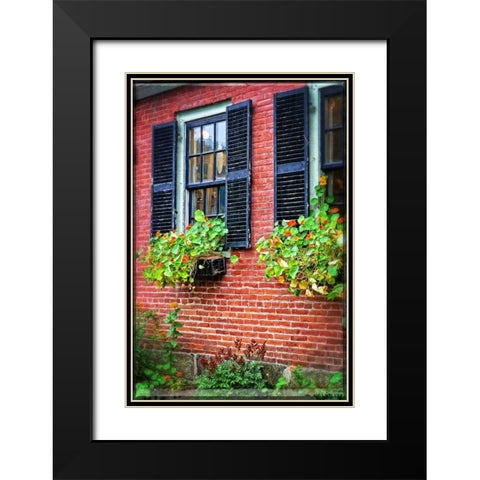 Country Store Window Flowers Black Modern Wood Framed Art Print with Double Matting by Foschino, Suzanne