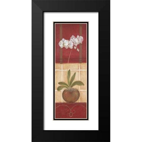 Window Wonders I Black Modern Wood Framed Art Print with Double Matting by Tava Studios