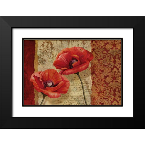Poppy Flourish Black Modern Wood Framed Art Print with Double Matting by Knutsen, Conrad
