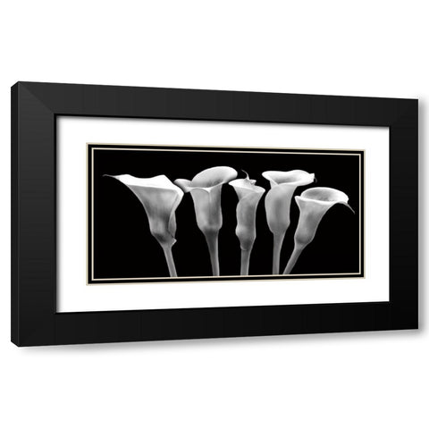 Lilies at Night Black Modern Wood Framed Art Print with Double Matting by Craven, Katrina