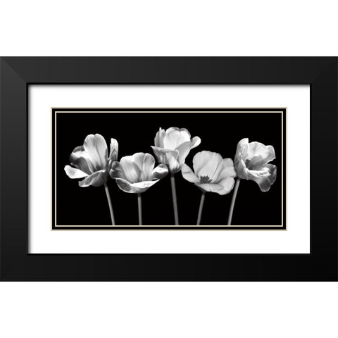 Tulips at Night Black Modern Wood Framed Art Print with Double Matting by Craven, Katrina