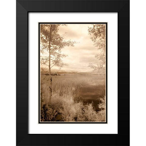 Peaceful Morning I Black Modern Wood Framed Art Print with Double Matting by Nagler, Monte
