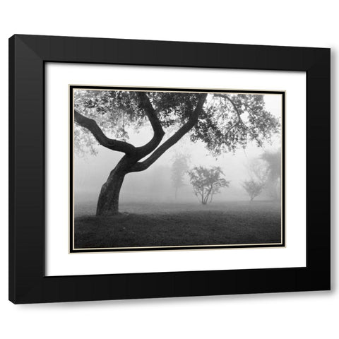 Into the Mist Black Modern Wood Framed Art Print with Double Matting by Nagler, Monte