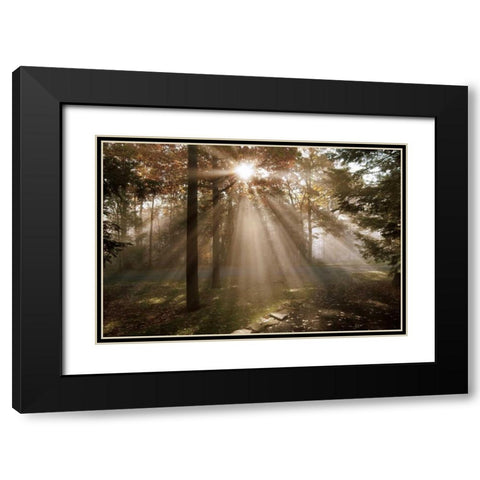 A New Day I Black Modern Wood Framed Art Print with Double Matting by Dahlgren, Ann