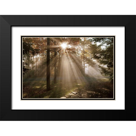 A New Day I Black Modern Wood Framed Art Print with Double Matting by Dahlgren, Ann