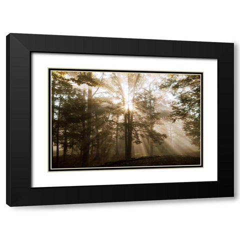 A New Day II Black Modern Wood Framed Art Print with Double Matting by Dahlgren, Ann