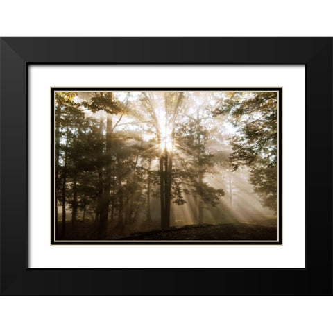 A New Day II Black Modern Wood Framed Art Print with Double Matting by Dahlgren, Ann