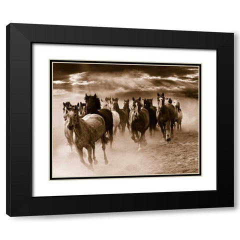 Running Horses Black Modern Wood Framed Art Print with Double Matting by Nagler, Monte