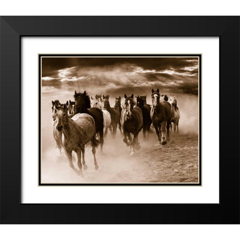 Running Horses Black Modern Wood Framed Art Print with Double Matting by Nagler, Monte