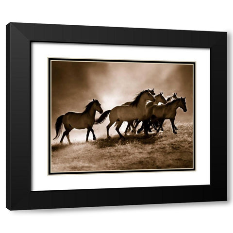 Wild Horses Black Modern Wood Framed Art Print with Double Matting by Dearing, Lisa