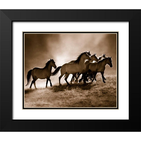 Wild Horses Black Modern Wood Framed Art Print with Double Matting by Dearing, Lisa