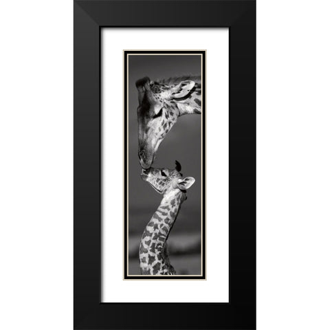 Masai Mara Giraffes Black Modern Wood Framed Art Print with Double Matting by Delimont, Danita