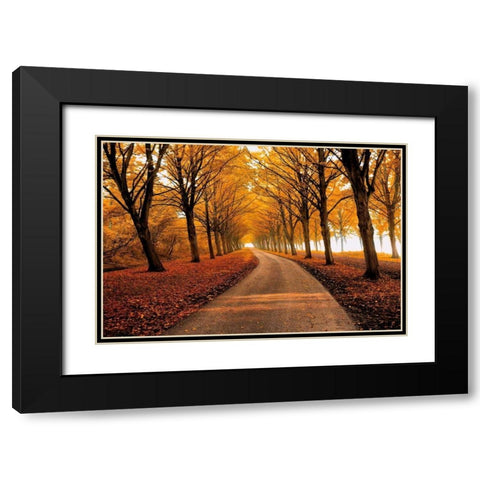 Well Traveled Black Modern Wood Framed Art Print with Double Matting by Van De Goor, Lars
