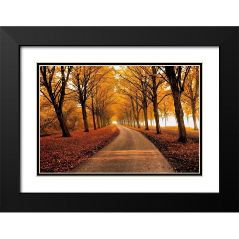 Well Traveled Black Modern Wood Framed Art Print with Double Matting by Van De Goor, Lars