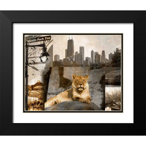 Lincoln Park Zoo Black Modern Wood Framed Art Print with Double Matting by Donovan, Kelly