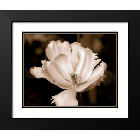 Veronicas Garden II Black Modern Wood Framed Art Print with Double Matting by Donovan, Kelly