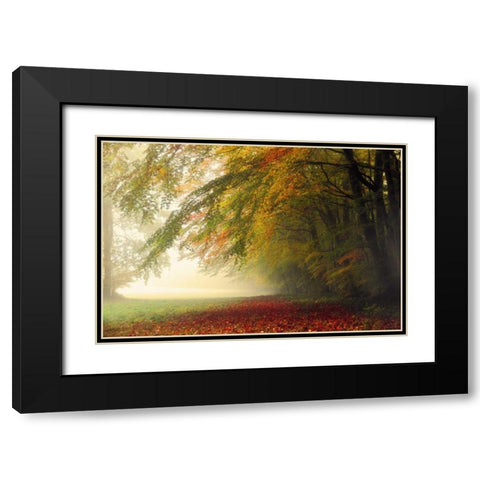 Your Beauty Silences Me Black Modern Wood Framed Art Print with Double Matting by Weisz, Irene