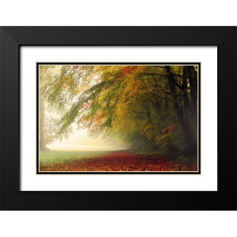 Your Beauty Silences Me Black Modern Wood Framed Art Print with Double Matting by Weisz, Irene