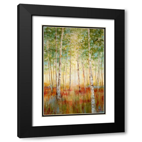 Birch Woods Black Modern Wood Framed Art Print with Double Matting by Nan