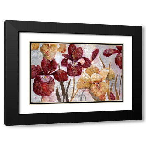 Iris Inspirations Black Modern Wood Framed Art Print with Double Matting by Nan