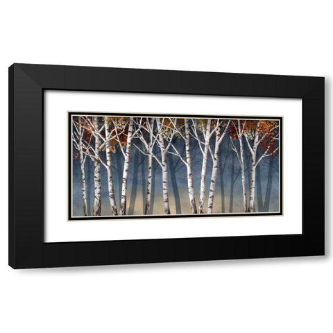 Birch Shadows Black Modern Wood Framed Art Print with Double Matting by Knutsen, Conrad
