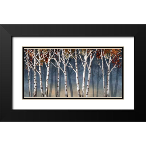 Birch Shadows Black Modern Wood Framed Art Print with Double Matting by Knutsen, Conrad