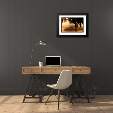Kentucky Morning Black Modern Wood Framed Art Print with Double Matting by Delimont, Danita
